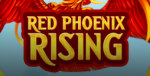 red phoneix rising red tiger